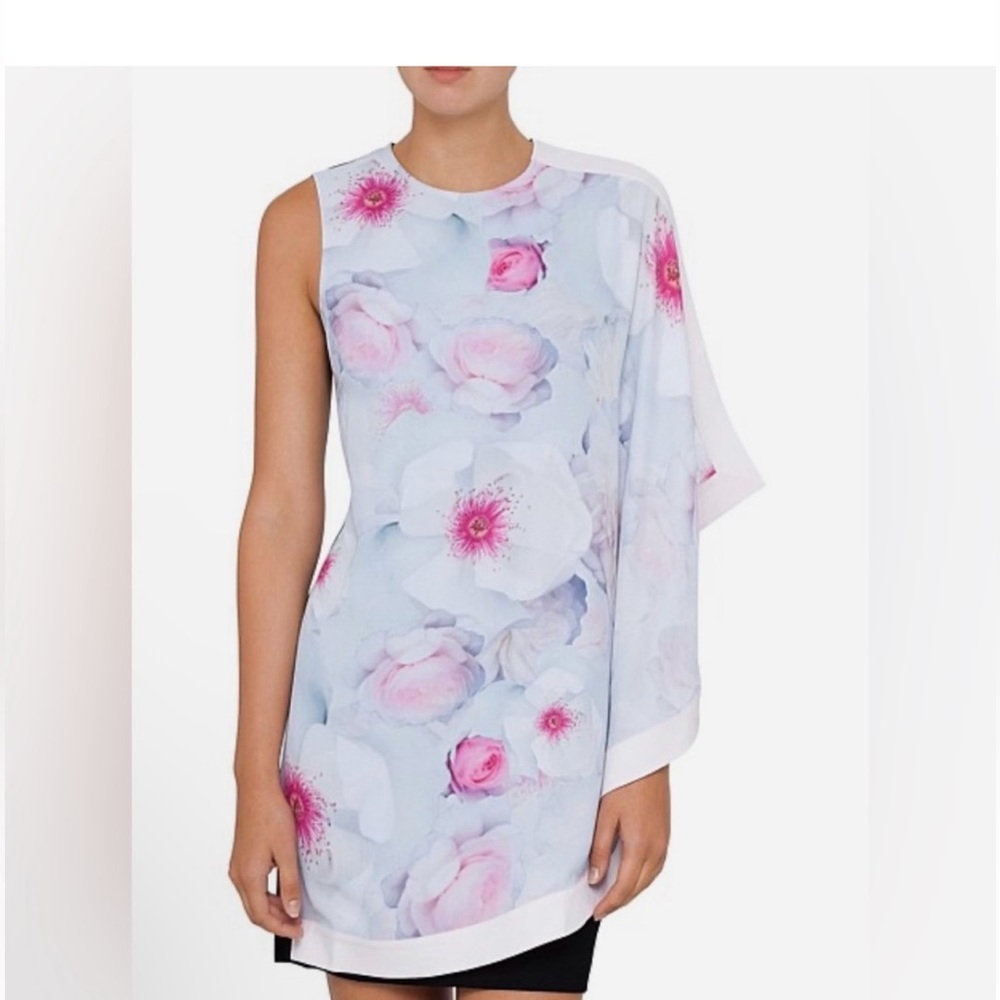 Ted Baker‎ Agostia Chelsea Double Layer  Dress size 4